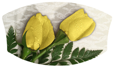 DNSWILL 059 2 Roses Yellow